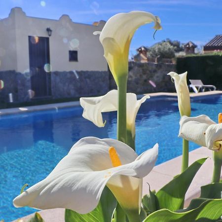 Chalet Bella Mendoza كونيل ذي لا فرونتيرا المظهر الخارجي الصورة