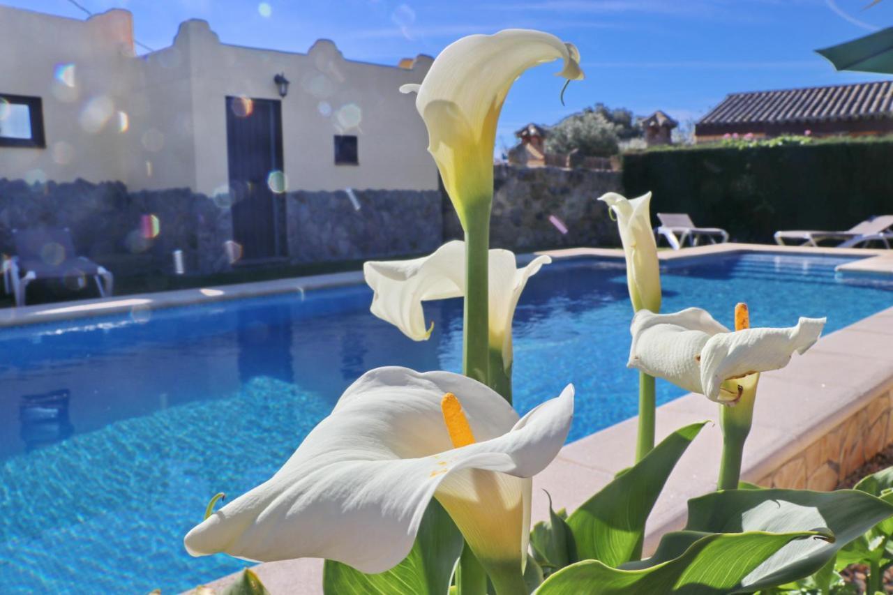 Chalet Bella Mendoza كونيل ذي لا فرونتيرا المظهر الخارجي الصورة